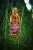 Ben Nevis 7yo RAMBLER 2015